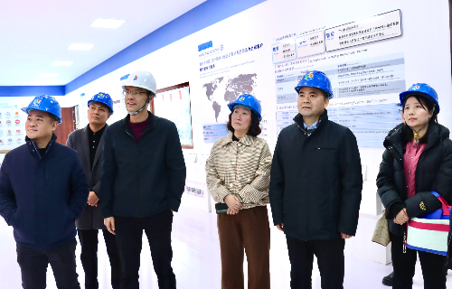陽(yáng)光電源股份、宜賓智能制造行業(yè)協(xié)會(huì)、宜賓安徽商會(huì)調(diào)研遠(yuǎn)東電纜（宜賓）